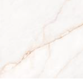 стены в гостевой су поддон Museum Керамогранит Dahlia White Sp/100x100x0,8/R Shaped